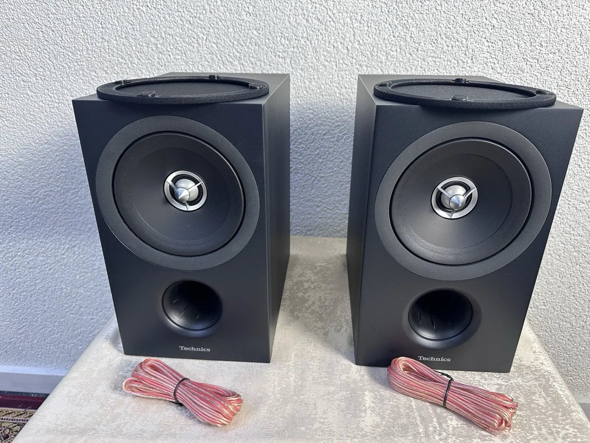 Technics SB-C600 Lautsprecher Speaker Schwarz Black