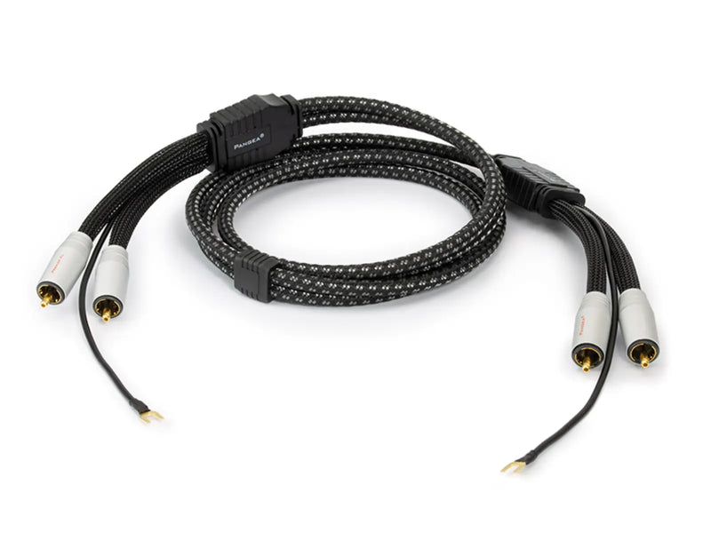 Pangea Premier XL Phono Kabel Länge 1.25m Audio Everywhere