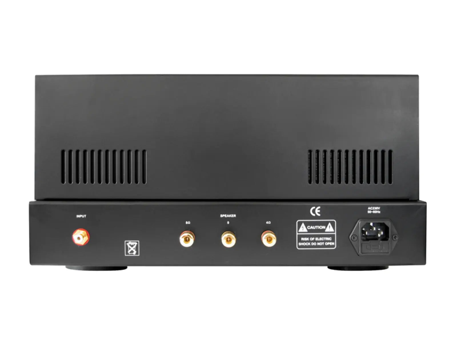 Dynavox Röhren-Mono-Vollverstärker VR-80E - Dynavox Mono Tube Integrated Amplifier VR-80E Audio Everywhere