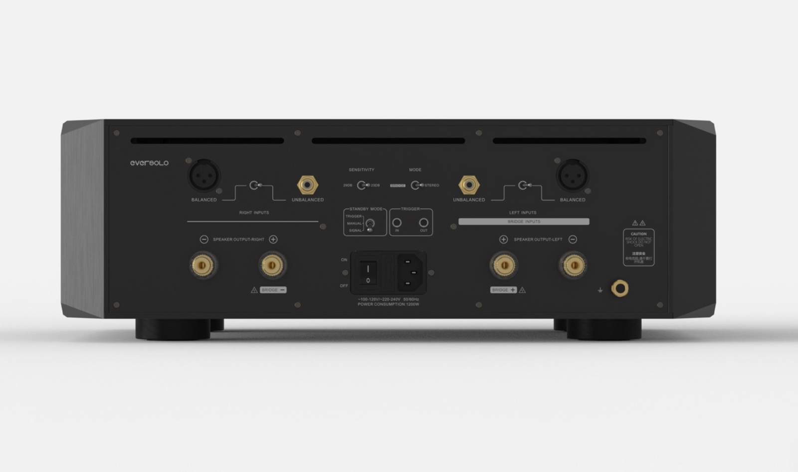 Eversolo AMP-F10 Endstufe – Ansicht 2